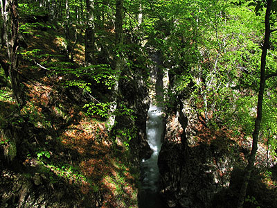 Torrente Viellia