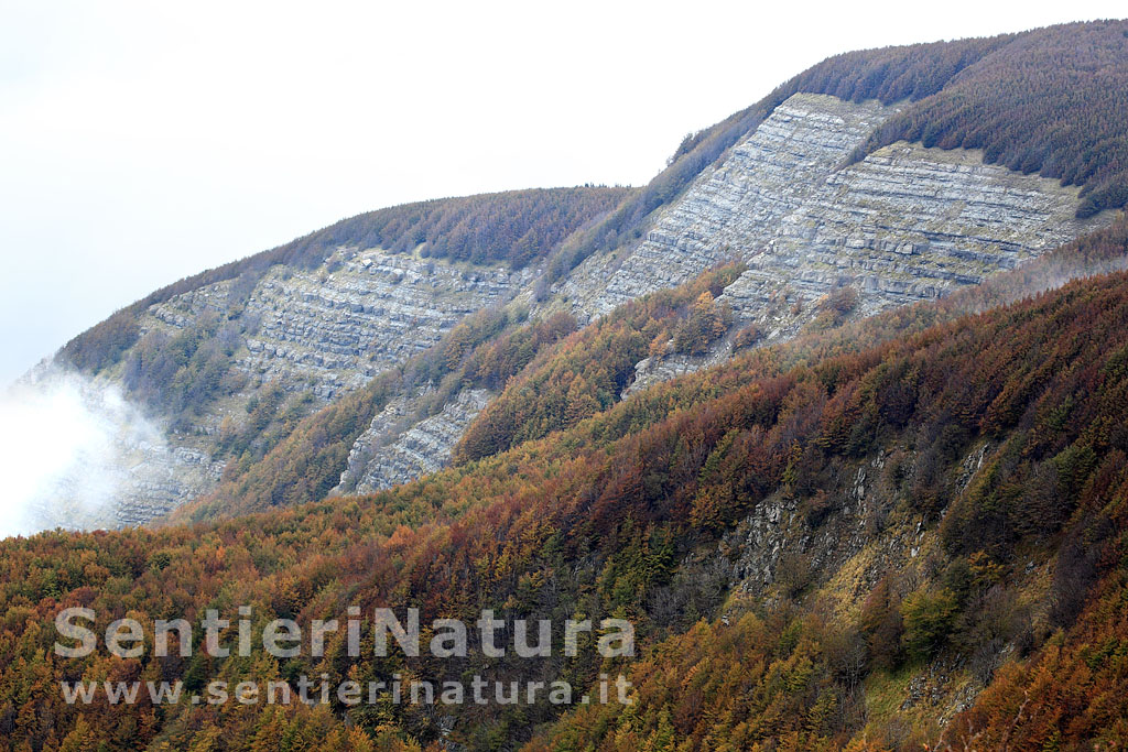 Monte Falco sulla vetta dell'appennino romagnolo