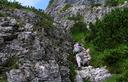 10-Canalino roccioso alle pendici della Cima Val del Drap