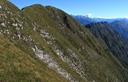 05-Le ripidissime pale erbose sommitali del monte Chiampon