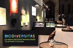 Biodiversitas - Visita guidata alla mostra