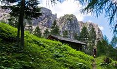 SentieriNatura 2014 - 16 - Le Guide Naturalistiche delle Dolomiti Friulane