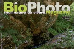 BioPhoto Magazine n.0: Natura da Vivere