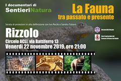 La Fauna tra Passato e Presente a Rizzolo