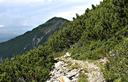 13-In discesa dal monte Auernig sul versante austriaco