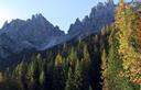 04-Bosco di abeti e larici presso il rifugio Giaf