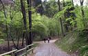 07-La strada nei pressi della sella tra il Cuel di Nuvolae e il Cuel Taront