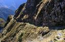 17-La mulattiera che percorre le pendici meridionali del monte Schenone