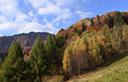 07-Bosco in abito autunnale alle pendici della Slenza Est