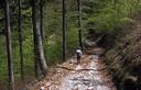 22-Lungo la pista forestale di sella Clinach