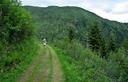 04-La carrareccia sulle pendici orientali della Cima Val di Legnan