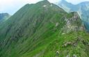 26-La lunga dorsale erbosa che dalla Cuestalta si protende verso il monte Scarniz