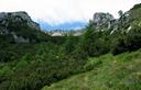 22-Ripido pendio con mughi alle pendici del monte Borgà