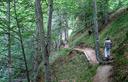 03-Bosco di faggio poco sopra il rifugio Pordenone