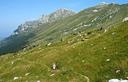 09-Il monte Zabus dalla mulattiera per la Cima di Terrarossa