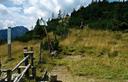 02-Steccato lungo il confine italo austriaco presso sella Carnizza