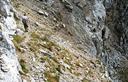 25-In discesa dalla vetta del monte Tinisa poco prima della paretina attrezzata
