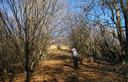 07-La mulattiera sulle pendici meridionali del monte Jauar