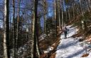 06-Bosco di faggio e abete rosso alle pendici del monte Olbe