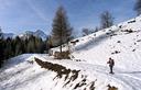 17-La pista forestale che scende verso Sauris di Sotto