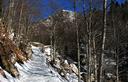 10-Bosco di faggio nel vallone del rio Pricot