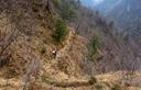23-Cengia erbosa lungo le pendici del monte Crepa