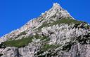06-La vetta del monte Nabois da sella Carnizza