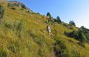 09-Pendio erboso con ginepri sul versante meridionale del monte Raut