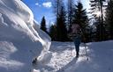 15-Lungo la pista che sale a casera Tragonia