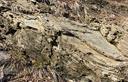 06-Bancate rocciose affioranti presso la confluenza del rio Liponza