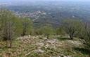 30-Rada boscaglia lungo la traccia che riconduce a Giais