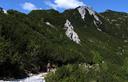 14-Boscaglia a pino mugo presso la forcella del Cerchio