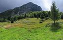 28-Il monte Burlat dal ripiano di casera Pezzeit di Sotto