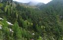 07-Rado bosco di larici e mughi alla base del vallone che sale alla forcella della Creta Forata