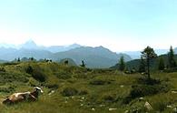 Auernig (pendici) - panorama parziale verso le alpi Giulie