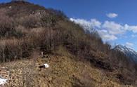 Forchia (la) [Trasaghis] - panorama parziale verso il monte Brancot