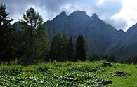 Roncada (ricovero casera) - panorama parziale