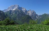 Gialinut (monte) - panorama parziale dalle pendici