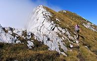 Monte Raut dalla forcella di Pala Barzana