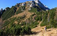 Monte Chiadin est da Forni Avoltri