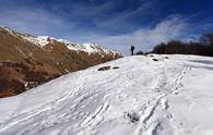 Monte Caal da Uccea