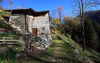 Il Percorso Storico Naturalistico di Bosco Museis