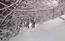 Il sentiero per casera Caal, quasi inghiottito dalla neve .. ...