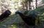 avvistamento "Nessie" sul sentiero al Palon