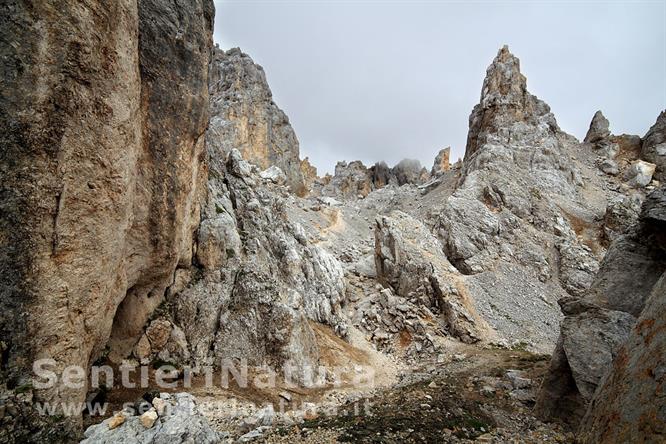 05-La valletta rocciosa che precede forcella dei Camosci