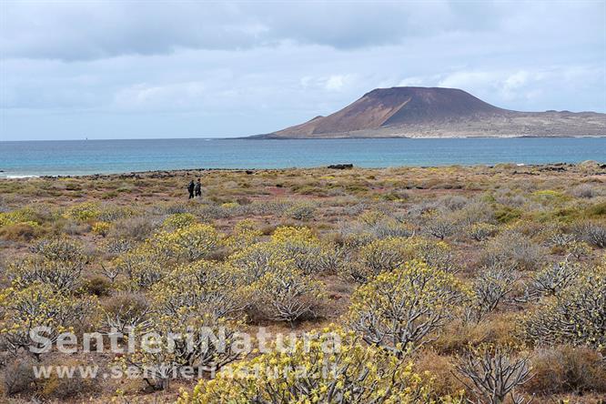 07-La bassa vegetazione presso la costa; sullo sfondo La Graciosa