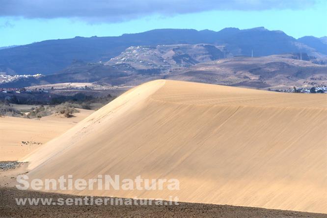 04-Le dune di Maspalomas