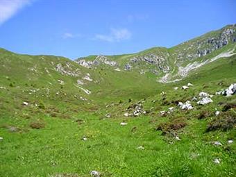 02-Vallone carsico che circonda le pendici sud est del Valcalda e del monte Teglara