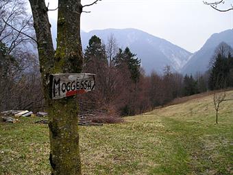06-Il segnale in legno per il sentiero delle Moggesse