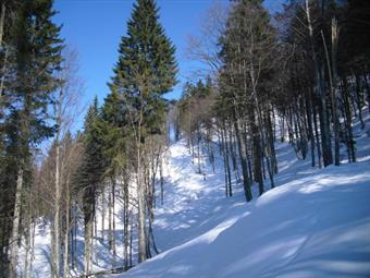 L'evidente e presunta prosecuzione nel bosco verso la forca risulta però pericolosa, vista la ripidezza del pendio innevato.